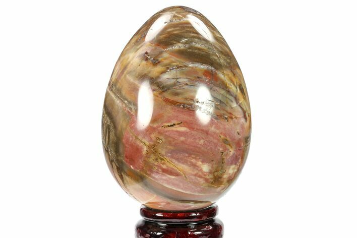 Colorful, Polished Petrified Wood Egg - Triassic #133921